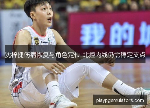 沈梓捷伤病恢复与角色定位 北控内线仍需稳定支点